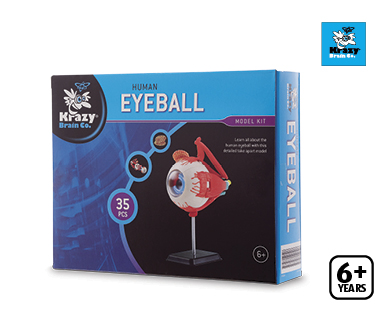 Body Model Kits