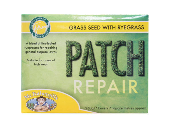Patch Repair1