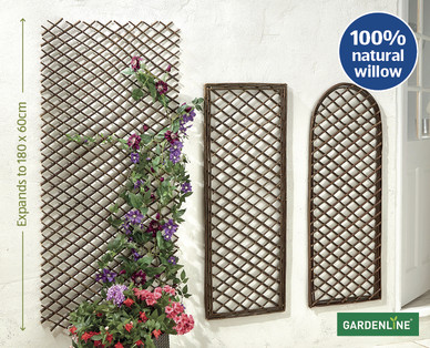 Willow Trellis