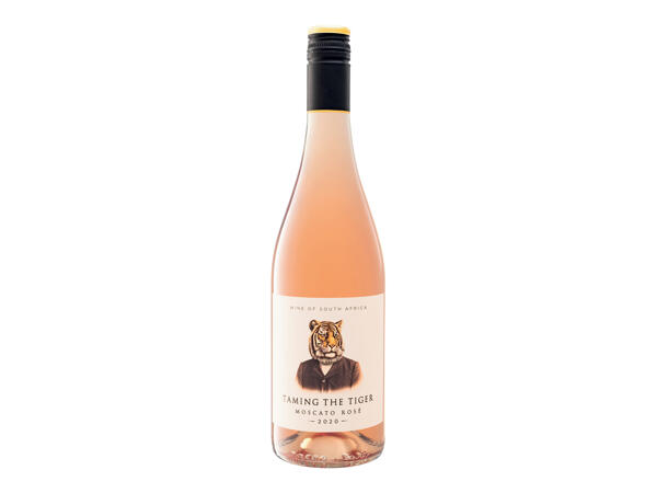 South Africa Moscato Western Cape