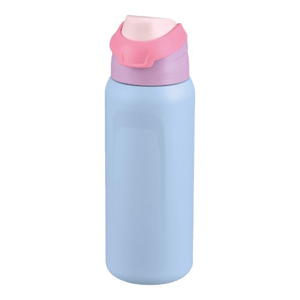 CROFTON(R) 				Roestvrijstalen fles