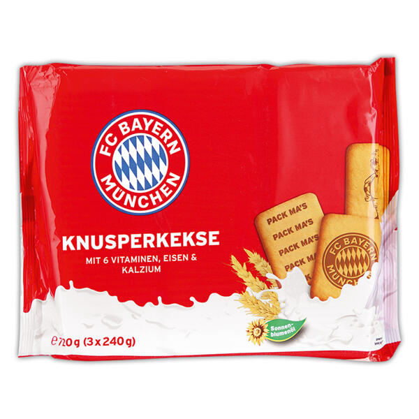 FCB / BVB FanMix