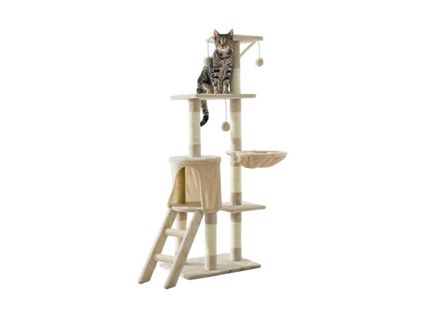 Arbre à chat (uniquement en Suisse alémanique)