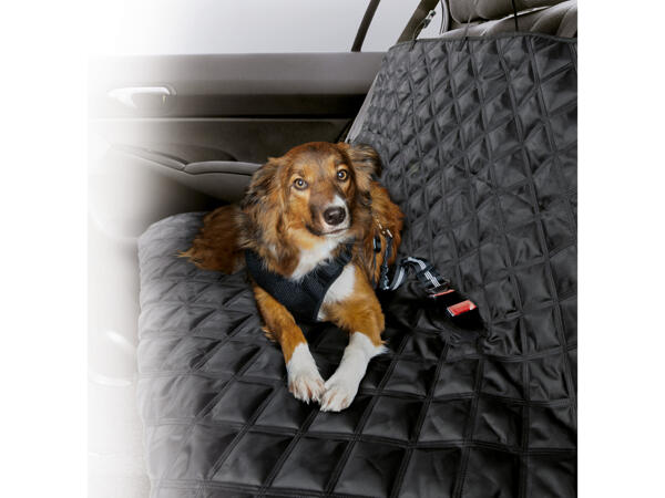 Hundedecke