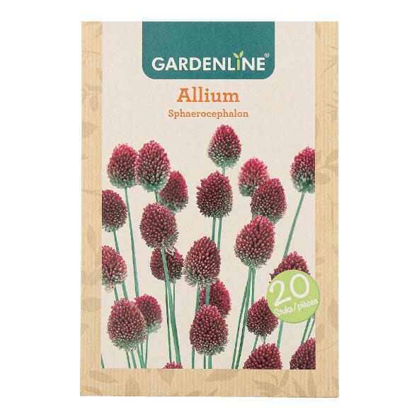 GARDENLINE(R) 				Bulbes à fleurs ail d'ornement