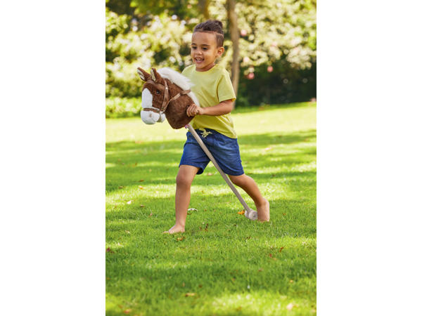 Hobby Horse