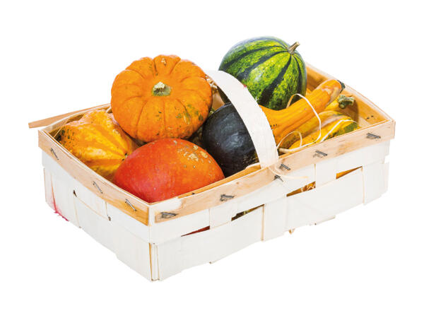 Zucche ornamentali in cassetta