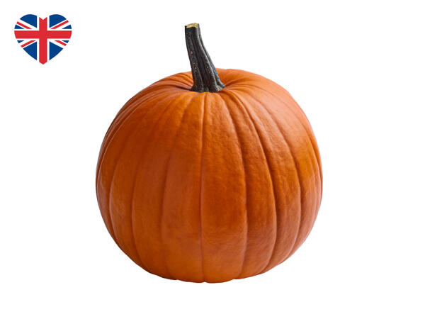 British Monster Pumpkin