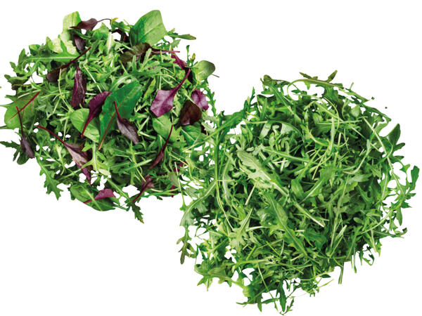 Rucola oder Mix Salat