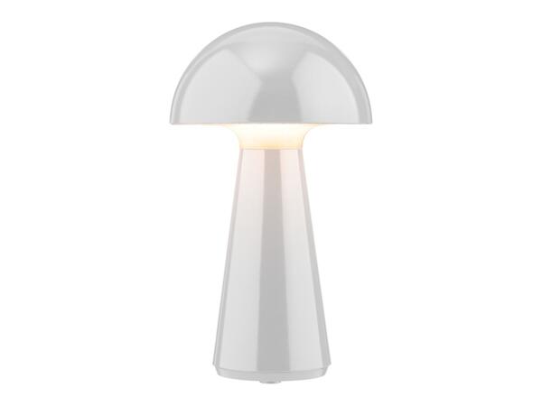 Cordless Table Lamp