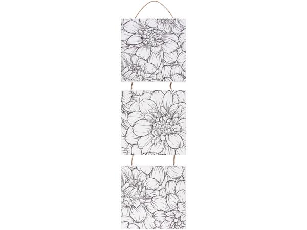 Canvas Set