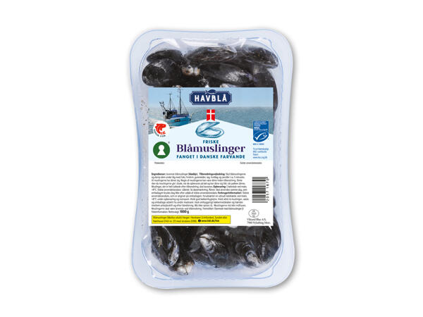 Blåmuslinger