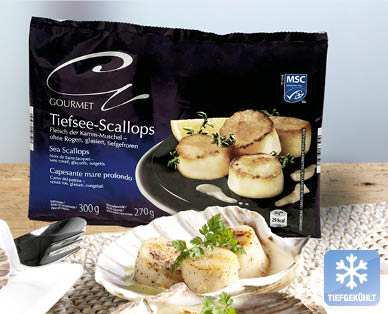GOURMET MSC Tiefsee-Scallops