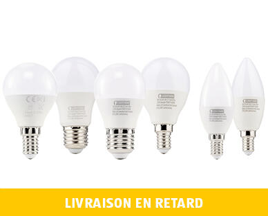 LIGHTWAY 
 AMPOULE LED, LUMINOSITÉ RÉGLABLE