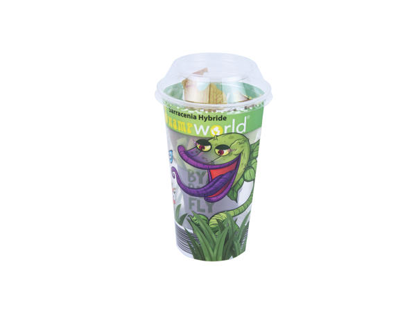Swampworld Plants1