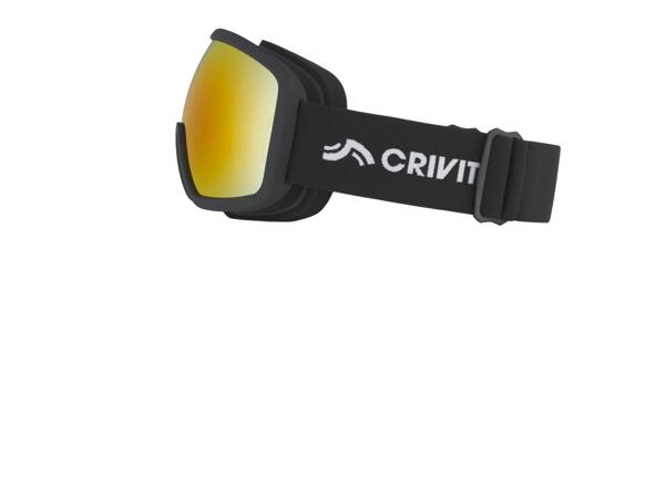 Adult Ski & Snowboarding Goggles