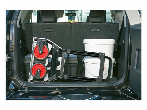 Folding Load Carrier