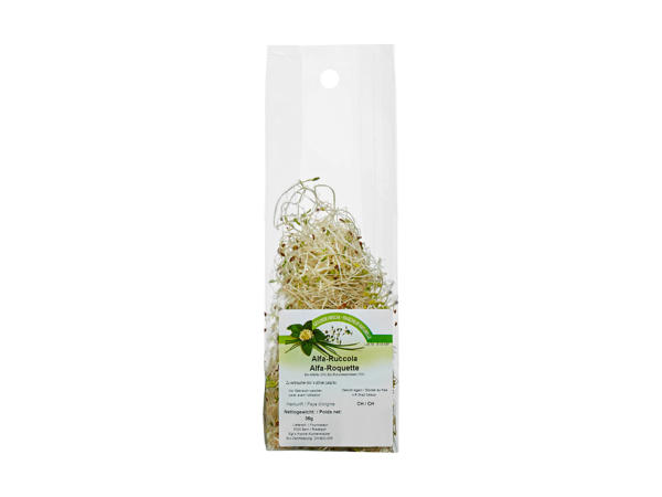 Pousses d'alfalfa-roquette bio
