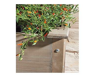 Belavi 
 Wooden Raised Planter