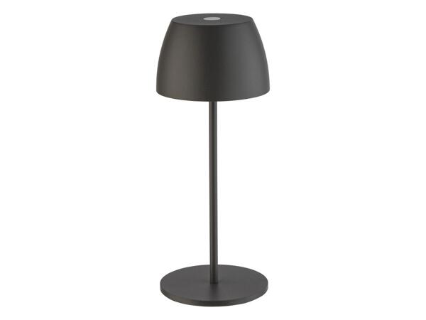 Cordless Table Lamp