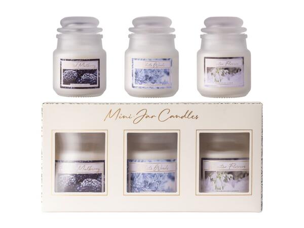 Winter Flowers / White Woods / Frosted Mulberry Mini Jar Candles - Set of 3