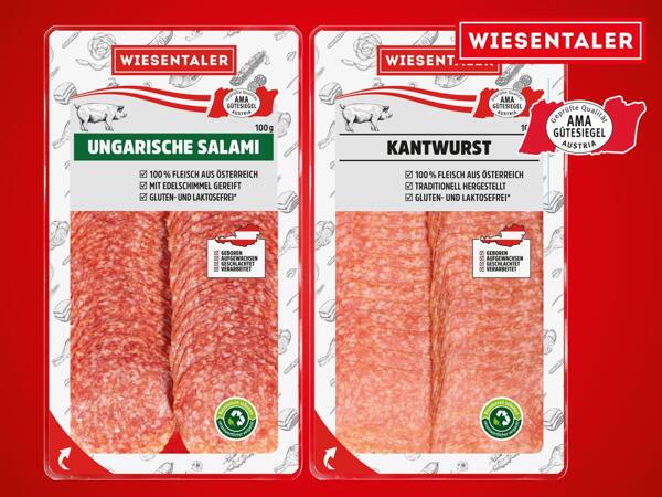Ungarische Salami oder Kantwurst