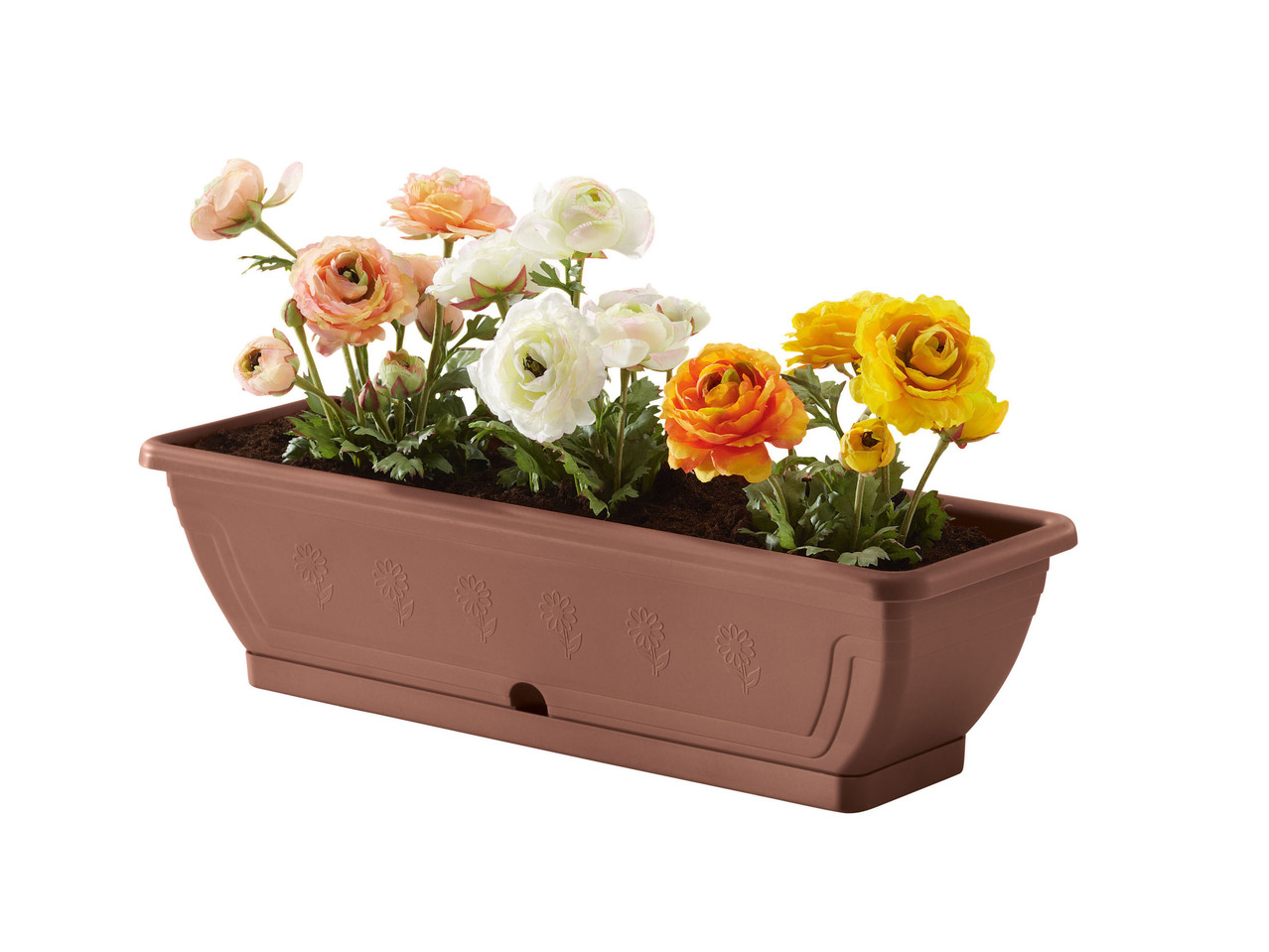Plant Pot