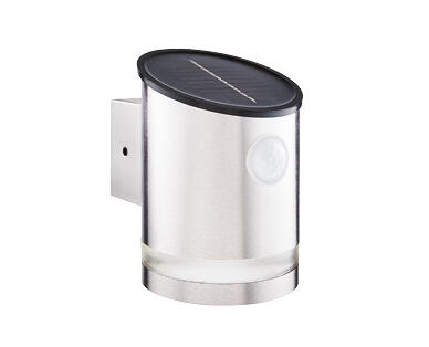 Solar Step or Wall Light