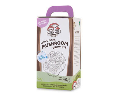 Mushroom Growing Kits