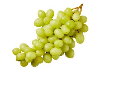 Uva bianca senza semi