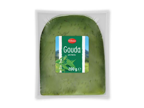 Gouda