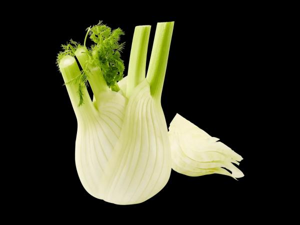 Fenchel