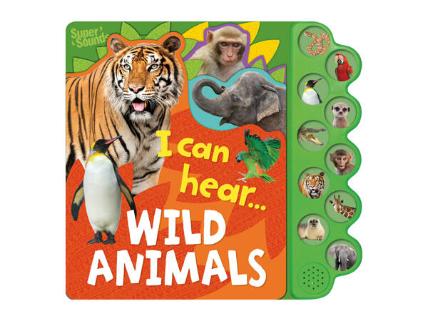 Lake Press Kids' Sound Book