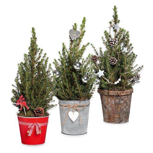 Petit sapin de Noël décoré