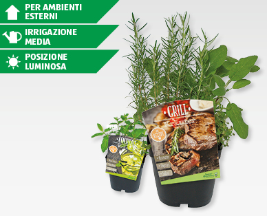 Erbe aromatiche per cocktail e barbecue GARDENLINE(R)