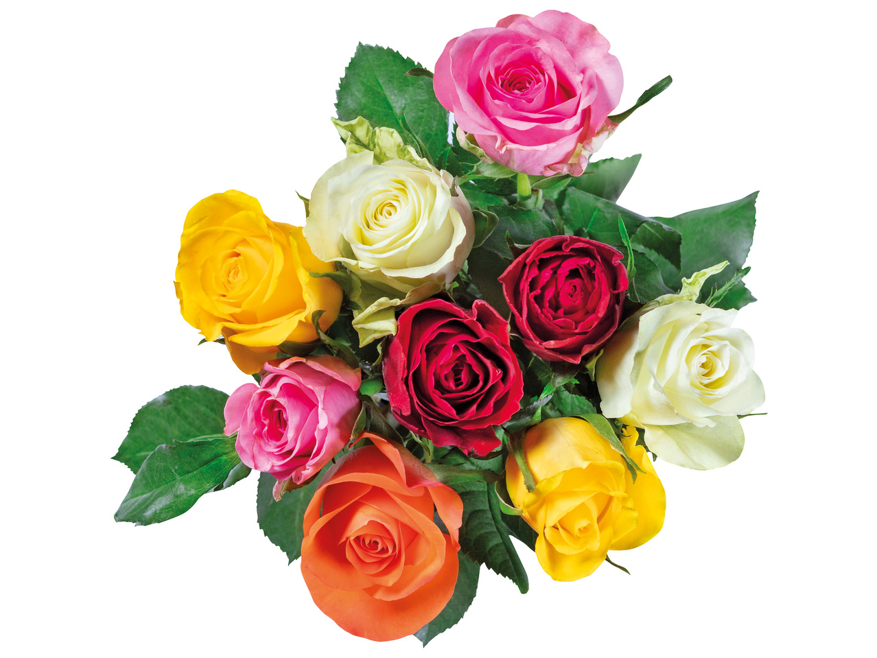 FAIRTRADE(R) Fairtrade Rosenstrauß Kunterbunt