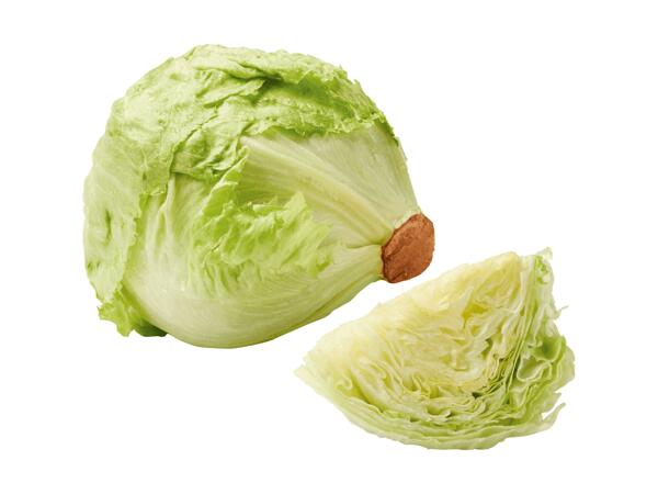 Laitue iceberg
