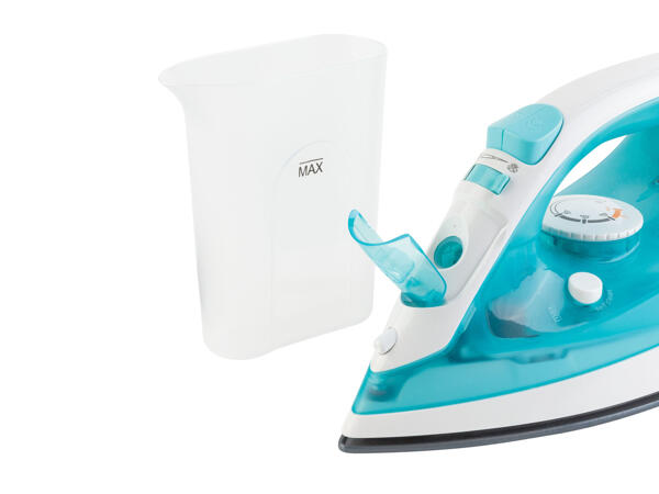 Steam iron