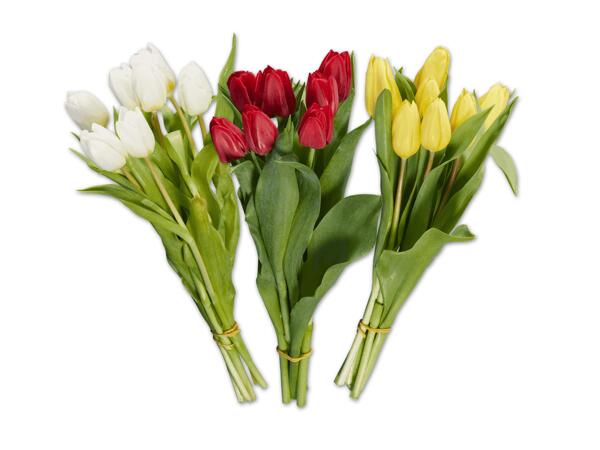 Tulpenstrauß einfärbig