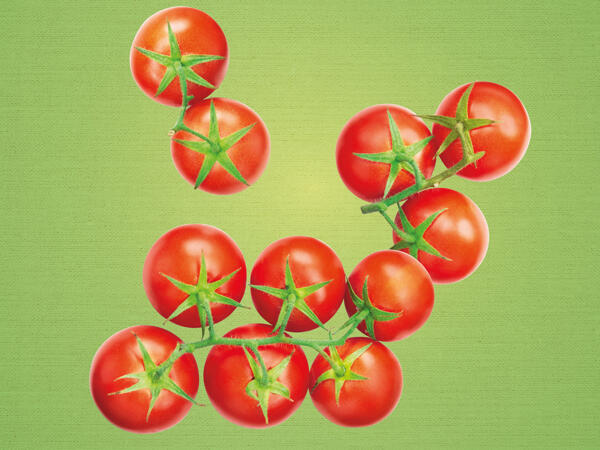 Cocktailstrauchtomaten