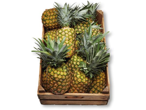 Ananas