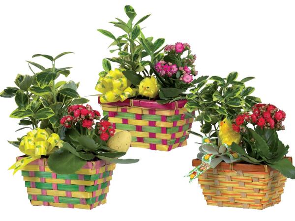 Easter basket