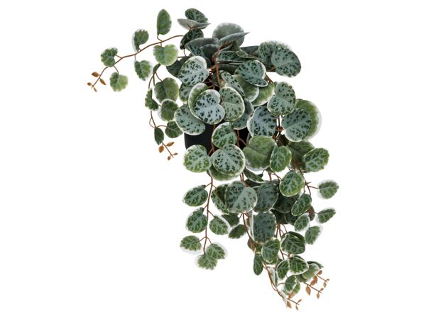 Artificial Plant