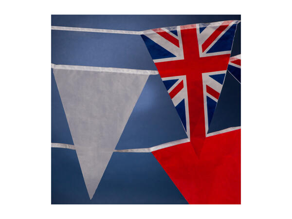 Coronation Celebration Accessories