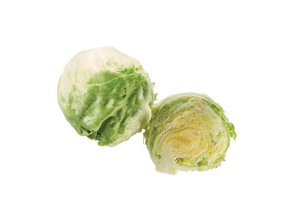 Iceberg lettuce