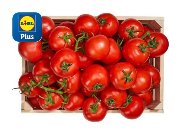 Tomates cocktail en grappe bio