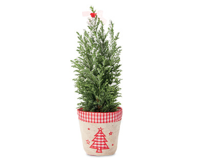 Mini Novelty Tree