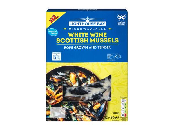 XXL Mussels in Sauce