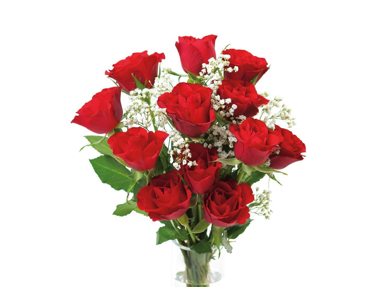 Dozen Large Roses1