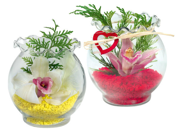 Orchidee im Wellenrandglas